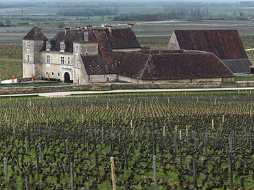 photo de Bourgogne : Le Clos Vougeot